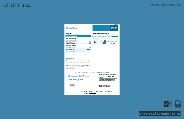 USA Conedison Stromrechnung Version 4 Beispielvorschau